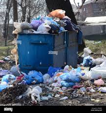 Best Recycling Services for Junk  in Pembroke Pines, FL